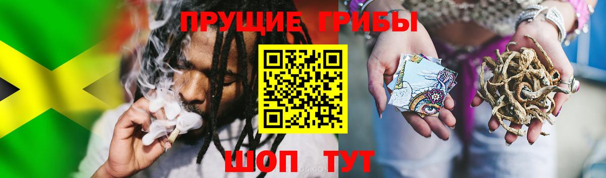 Галлюциногенные грибы MAGIC MUSHROOMS  Псилоцибиновые грибы Psilocybine cubensis  Вход с VPN  Касимов 